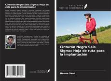 Bookcover of Cinturón Negro Seis Sigma: Hoja de ruta para la implantación