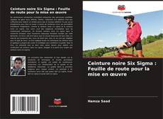 Ceinture noire Six Sigma : Feuille de route pour la mise en œuvre kitap kapağı