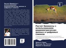 Bookcover of Расчет биомассы с использованием радиометрических данных и цифровых снимков