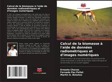 Bookcover of Calcul de la biomasse à l'aide de données radiométriques et d'images numériques