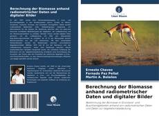 Bookcover of Berechnung der Biomasse anhand radiometrischer Daten und digitaler Bilder