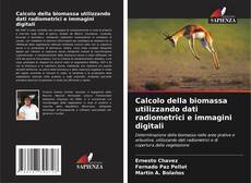 Bookcover of Calcolo della biomassa utilizzando dati radiometrici e immagini digitali