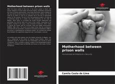 Capa do livro de Motherhood between prison walls 