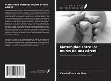 Bookcover of Maternidad entre los muros de una cárcel