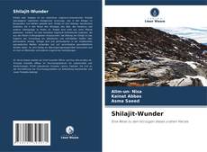 Buchcover von Shilajit-Wunder