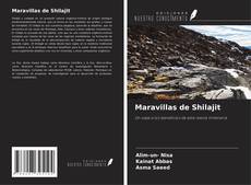 Bookcover of Maravillas de Shilajit