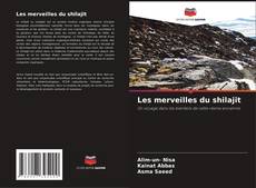 Buchcover von Les merveilles du shilajit