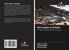 Buchcover von Meraviglie di Shilajit