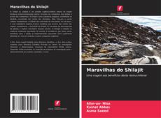 Maravilhas do Shilajit的封面