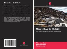 Capa do livro de Maravilhas do Shilajit 