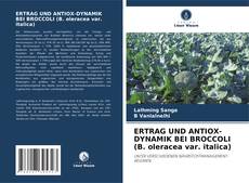 Bookcover of ERTRAG UND ANTIOX-DYNAMIK BEI BROCCOLI (B. oleracea var. italica)