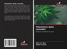 Buchcover von Fitochimici della cannabis