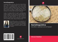 Sociolinguística的封面