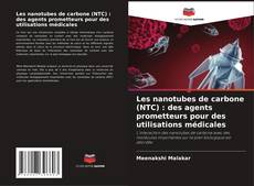 Capa do livro de Les nanotubes de carbone (NTC) : des agents prometteurs pour des utilisations médicales 