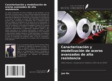 Buchcover von Caracterización y modelización de aceros avanzados de alta resistencia
