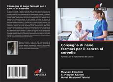 Bookcover of Consegna di nano farmaci per il cancro al cervello