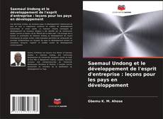 Saemaul Undong et le développement de l'esprit d'entreprise : leçons pour les pays en développement kitap kapağı