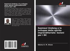 Bookcover of Saemaul Undong e lo sviluppo dello spirito imprenditoriale: lezioni per i DC