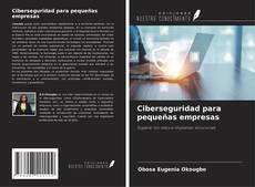 Bookcover of Ciberseguridad para pequeñas empresas