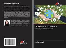 Bookcover of Sostenere il pianeta