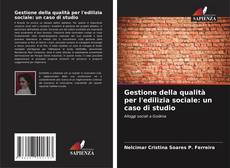 Gestione della qualità per l'edilizia sociale: un caso di studio kitap kapağı