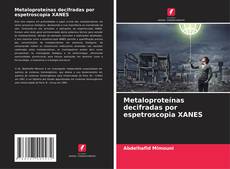 Bookcover of Metaloproteínas decifradas por espetroscopia XANES