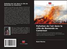 Buchcover von Pollution de l'air dans la ville de Bamenda au Cameroun