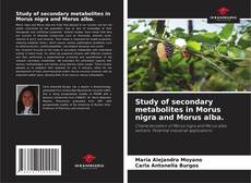 Study of secondary metabolites in Morus nigra and Morus alba. kitap kapağı