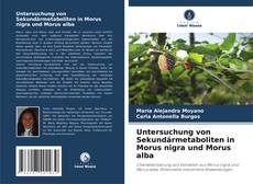 Обложка Untersuchung von Sekundärmetaboliten in Morus nigra und Morus alba