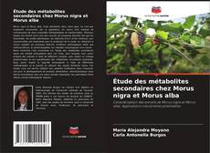 Copertina di Étude des métabolites secondaires chez Morus nigra et Morus alba