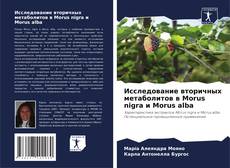 Исследование вторичных метаболитов в Morus nigra и Morus alba kitap kapağı