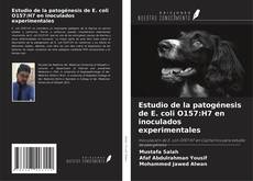 Bookcover of Estudio de la patogénesis de E. coli O157:H7 en inoculados experimentales