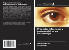 Buchcover von Urgencias infecciosas y postraumáticas en oftalmología