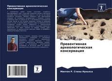 Buchcover von Превентивная археологическая консервация