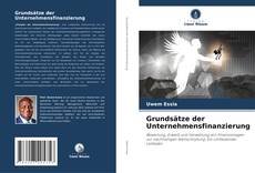 Bookcover of Grundsätze der Unternehmensfinanzierung