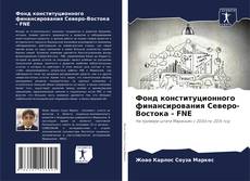 Фонд конституционного финансирования Северо-Востока - FNE kitap kapağı