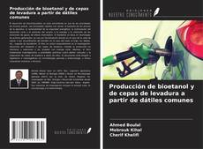 Bookcover of Producción de bioetanol y de cepas de levadura a partir de dátiles comunes
