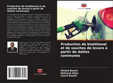 Bookcover of Production de bioéthanol et de souches de levure à partir de dattes communes