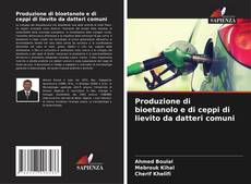 Bookcover of Produzione di bioetanolo e di ceppi di lievito da datteri comuni