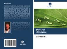 Buchcover von Carnosin