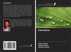 Buchcover von Carnosina