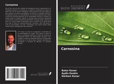 Capa do livro de Carnosina 