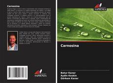 Buchcover von Carnosina
