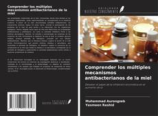 Buchcover von Comprender los múltiples mecanismos antibacterianos de la miel