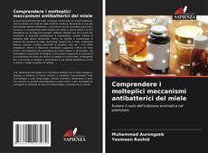 Bookcover of Comprendere i molteplici meccanismi antibatterici del miele