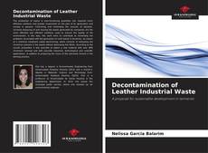 Capa do livro de Decontamination of Leather Industrial Waste 