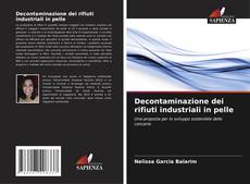 Bookcover of Decontaminazione dei rifiuti industriali in pelle