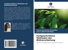 Bookcover of Fortgeschrittene Methoden der Bildverarbeitung