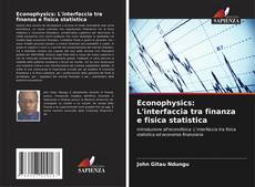 Buchcover von Econophysics: L'interfaccia tra finanza e fisica statistica