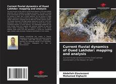 Current fluvial dynamics of Oued Lakhdar: mapping and analysis kitap kapağı